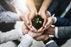 thriving-culture-stock-image