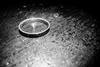 wedding ring black and white