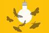 The image shows a minimalist illustration of a white light bulb hanging from a grey cord against a bright yellow background. Several grey moths are flying around the light bulb, attracted to its glow