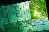 environment-stock-image-600x400