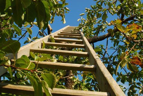 Ladder image